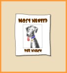 Par Whack's Proudest Moment